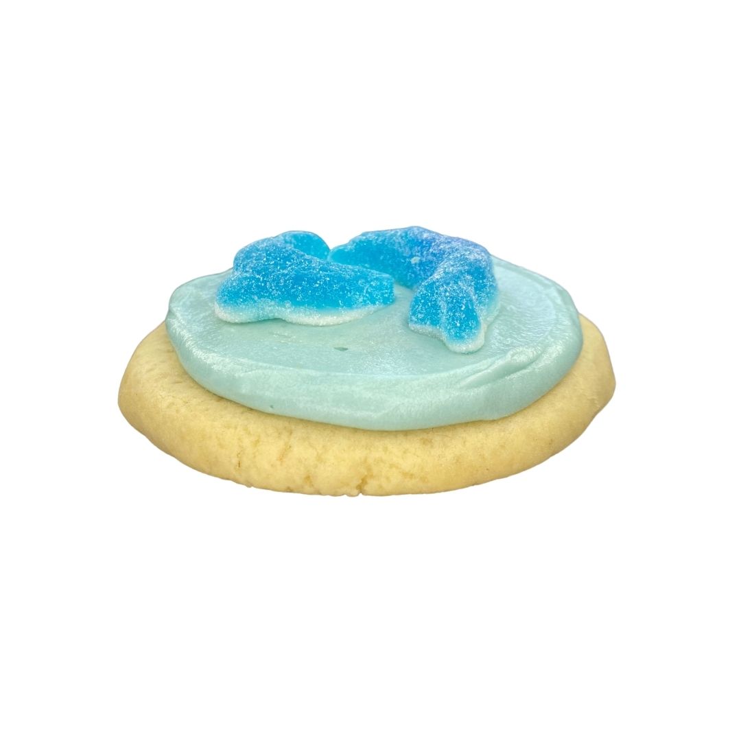 Sugar shark